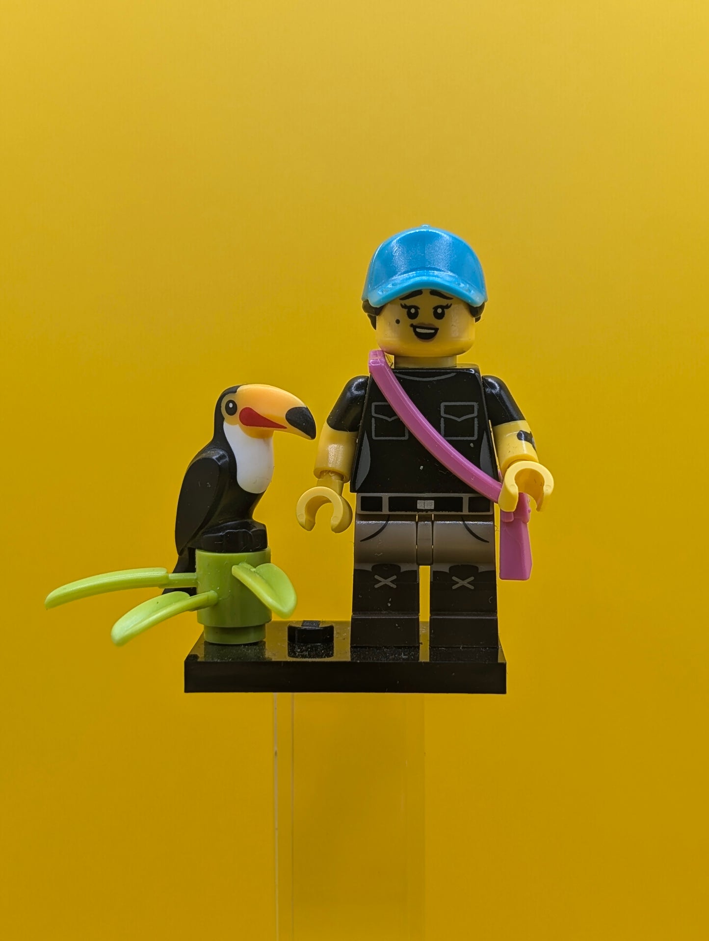 Birdwatcher col22-9 CMF Series 22 Minifigure Lego