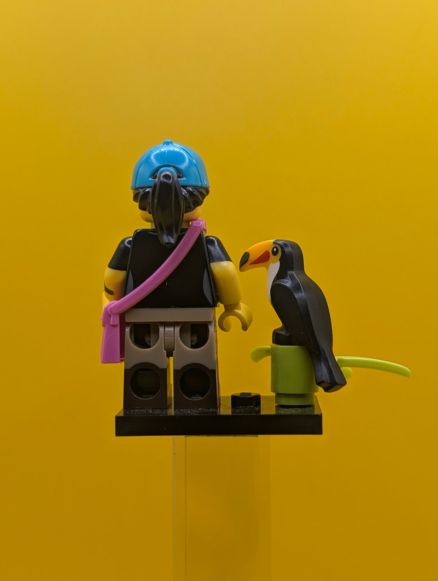 Birdwatcher col22-9 CMF Series 22 Minifigure Lego