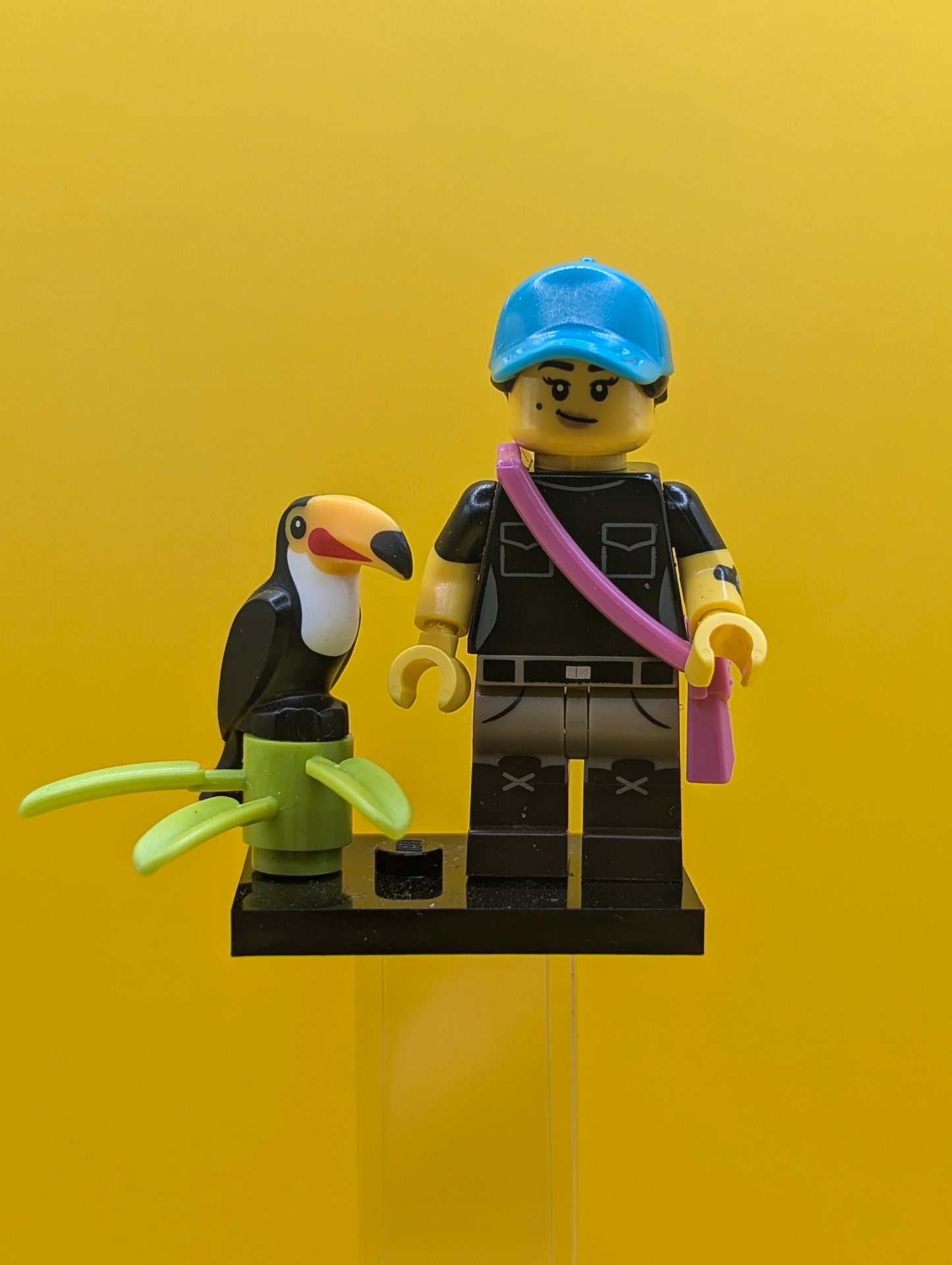 Birdwatcher col22-9 CMF Series 22 Minifigure Lego