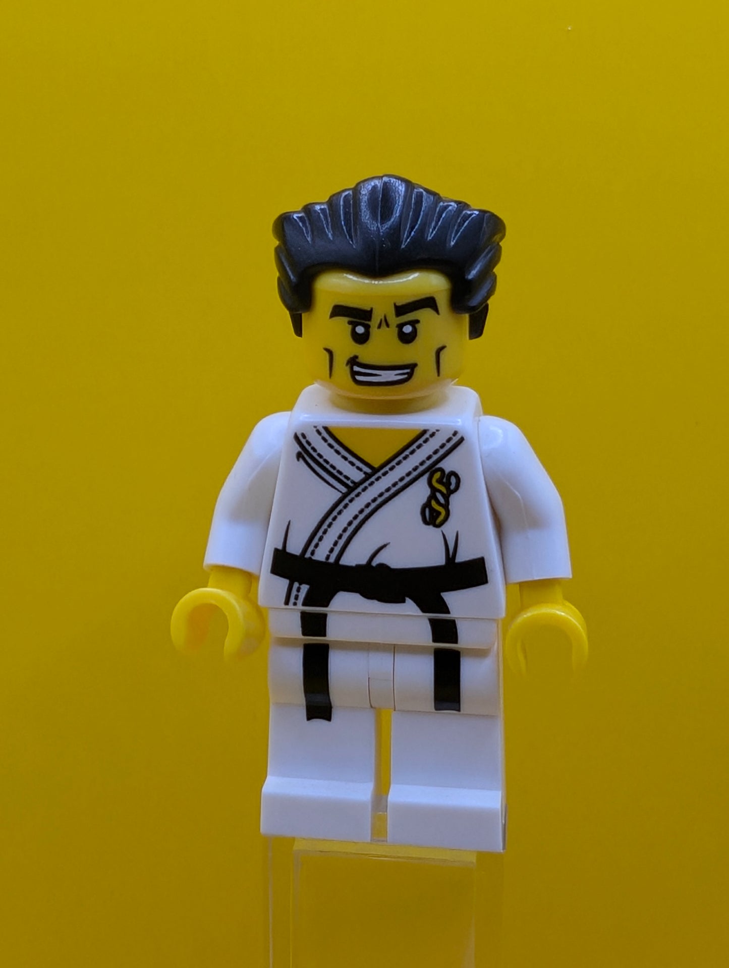 Karate Master col030 Series 2 (complete Set with Stand and Accessories) Minifigure Lego