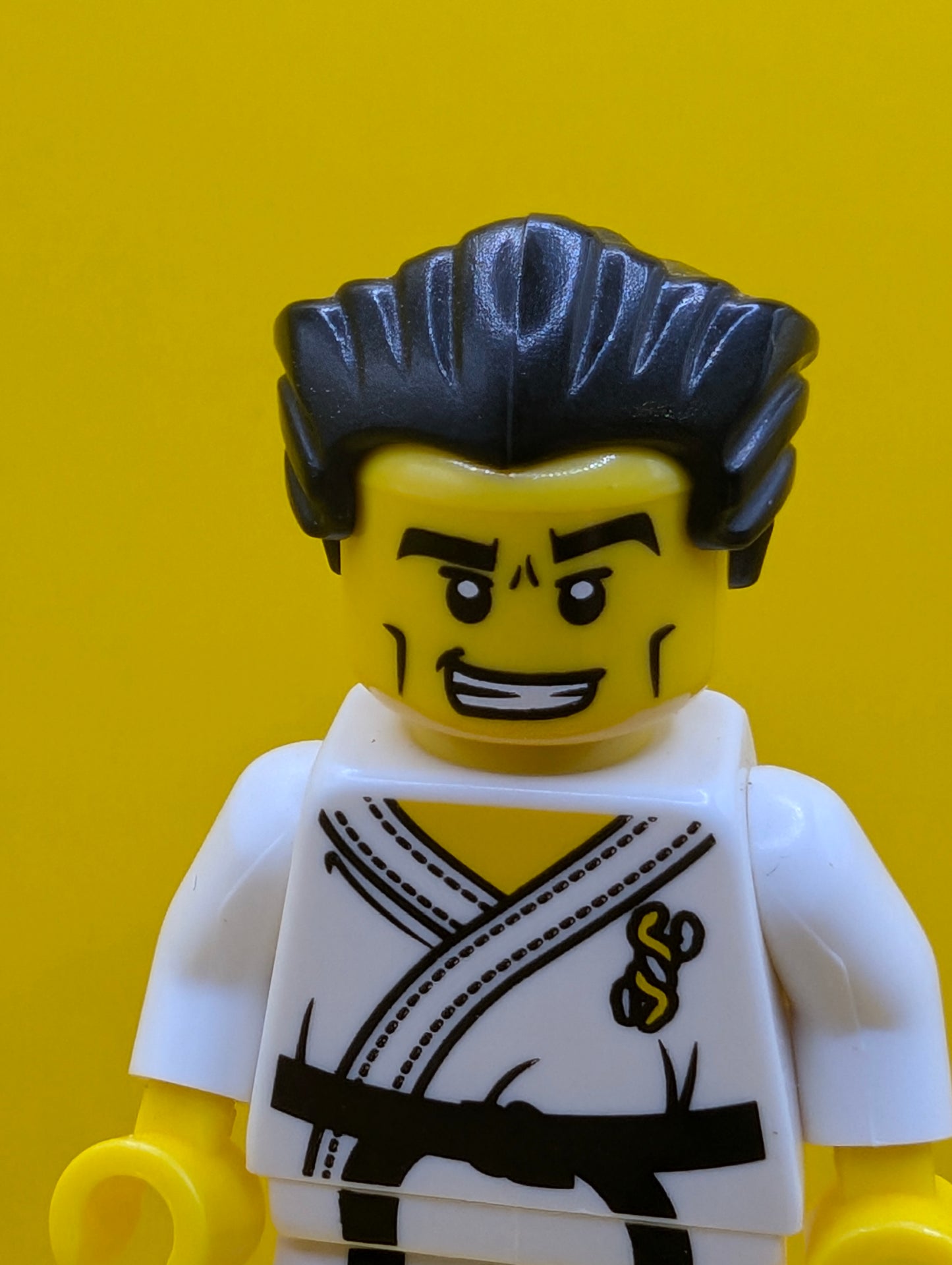 Karate Master col030 Series 2 (complete Set with Stand and Accessories) Minifigure Lego