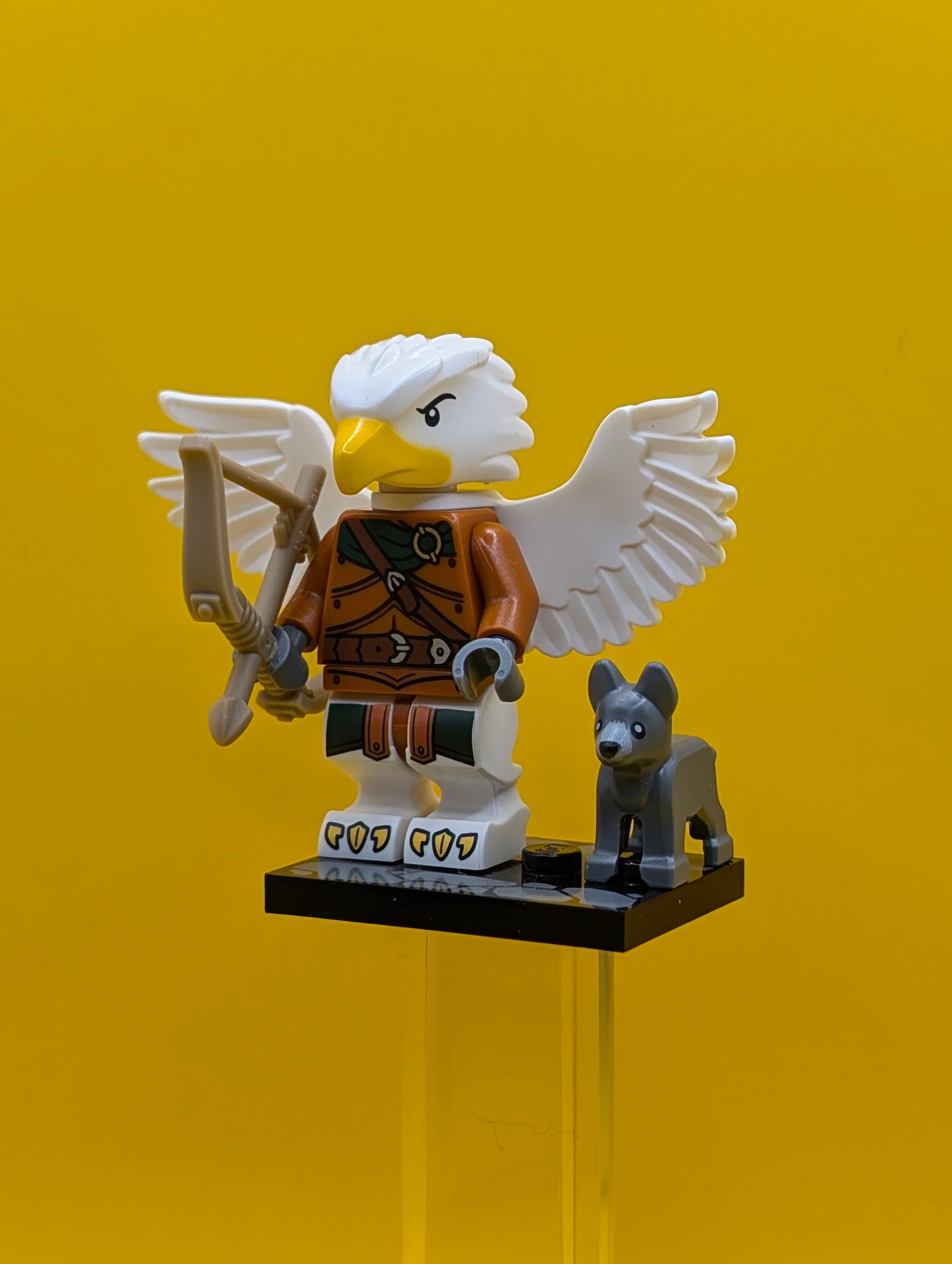 Aarakocra Ranger coldnd-6 Dungeons and Dragons CMF Minifigure Lego